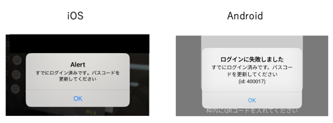 roguin_error8